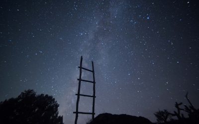 Posizionamento Google, perchè è importante