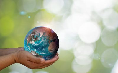 Come fare SEO internazionale per competere all’estero